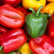 Sweet Bell Pepper
