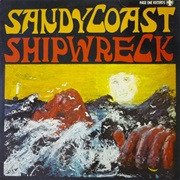 Sandy Coast - Shipwreck