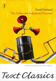 The Unknown Industrial Prisoner (David Ireland)
