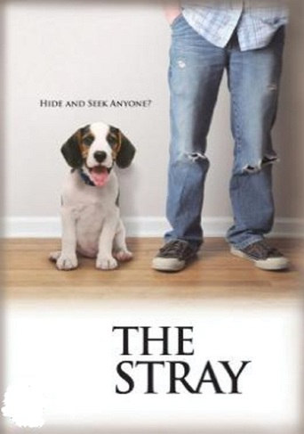 The Stray (2012)