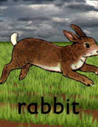 Rabbit (2005)