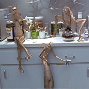 Annelids - Men in Black