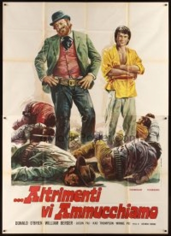 Kung Fu Brothers in the Wild West (1973)