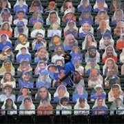 Cardboard Cutout Fans