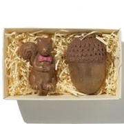 Choconchoc Golden Chocolate Squirrel & Acorn