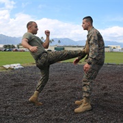 Marine Corps Martial Arts Program