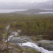 Kasivarsi Wilderness Area & Malla Strict Nature Reserve, Finland