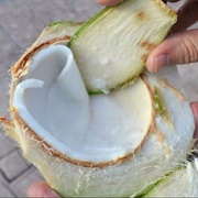 Fresh Coconut Jelly
