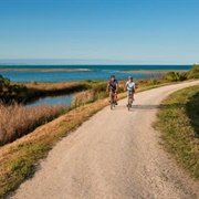 Hawkes Bay Trails