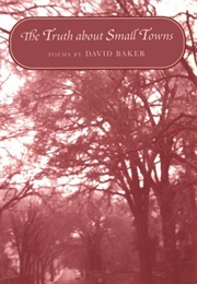 The Truth About Small Towns (David Baker)
