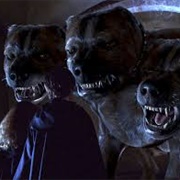 Fluffy (Harry Potter and the Philosopher's Stone)