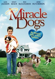 Miracle Dogs (2003)