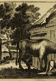 The Bull and the Calf (Aesop)