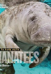 Face to Face With Manatees (Skerry, Brian)