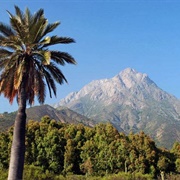 La Campana National Park, Chile