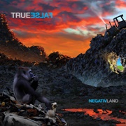 Negativland - True False