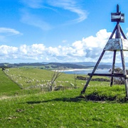 Tawharanui Ridge Walk