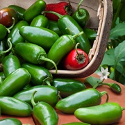 Jalapeño Pepper