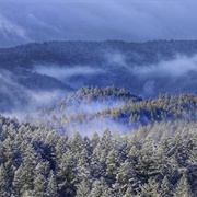 Santa Cruz Mountains