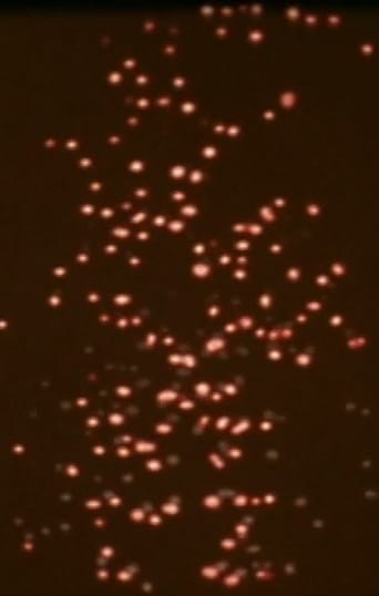 Print Generation (1974)