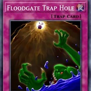 Floodgate Trap Hole