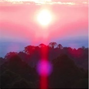 Grouper- Paradise Valley