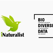 Take Part in a Citizens' Science Project