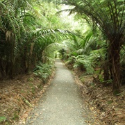 Wentworth Valley Falls, Whangamata