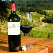 Hunter Valley Wine Tasting, NSW, Oz