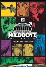 Wildboyz - Vol 1 (2007)