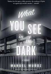 What You See in the Dark (Manuel Muñoz)