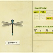 Damselfly