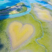 The Heart of Voh, New Caledonia