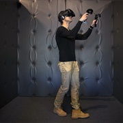 Play a Virtual Reality Game