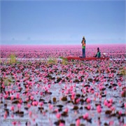 Udon Thani, Thailand