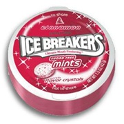 Ice Breakers Mints Cinnamon