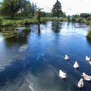 Haumarana Springs, Rotorua