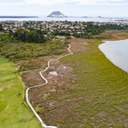 Waikareoaeo Estuary Walk, Tauranga