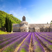 Senanque Abbey, France