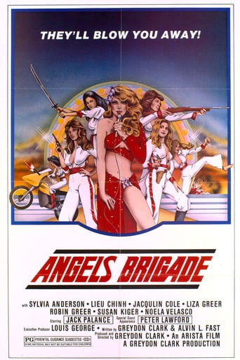 Angels&#39; Brigade (1979)