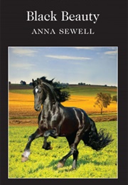 Black Beauty (Anna Sewell)