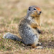 Princeton, BC, Canada