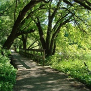 Shady Side Park, Indiana
