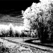 Beyond Light - The Blessing of a Dead Sun