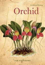 Orchid (Jim Endersby)