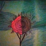 Abstract Sketch Meagan Scribner