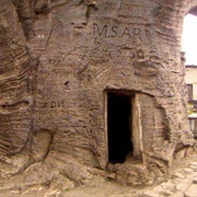 Stanley's Baobab, DRC