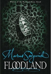 Floodland (Marcus Sedgwick)