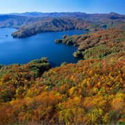 Devil's Fork State Park