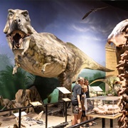 Creation Museum, Kentucky